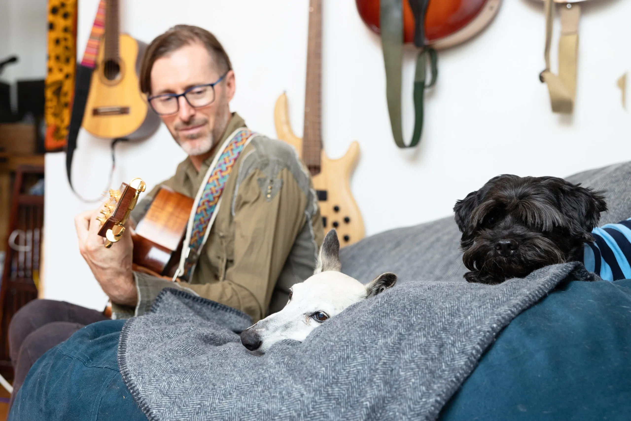 Man with glasses playing acoustic guitar on a sofa while two dogs rest on a grey blanket, more instruments hung on the wall behind